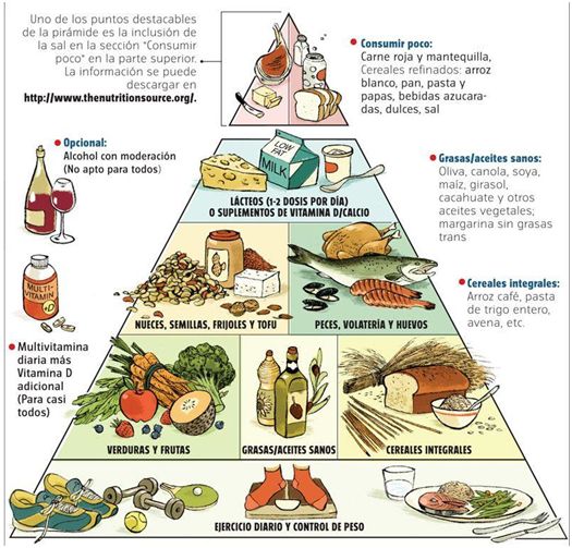 DIETA DE GOKU Piramide nutricional